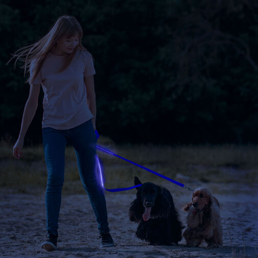 60026D • LED-es póráz - akkumulátoros - 120 x 2,5 cm - kék